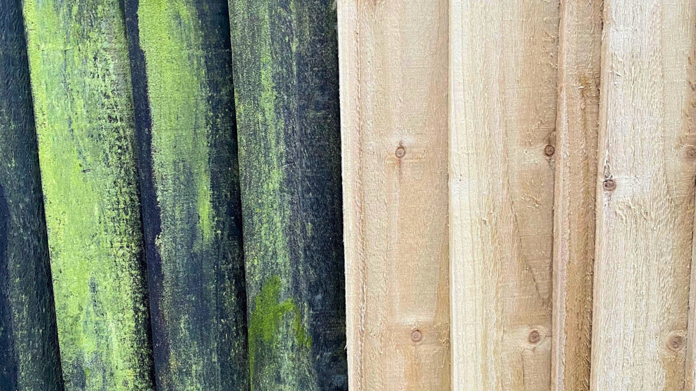 Treated exterior wood vs untreated exterior wood